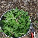 덕원농장2 이미지