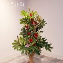 제주꽃배달 동산플라워 생일꽃다발