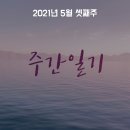[주간일기] 2021년 5월 셋째주