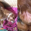 생명의집 이미지