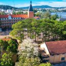 달랏(DA LAT) 이미지