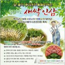 의성생고기마실 이미지