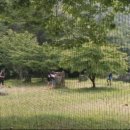 대전둔산중학교 이미지