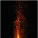 대동농장 이미지