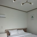 마추피추애견블랙 이미지