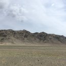 새앙토끼 | MONGOLIA (2)