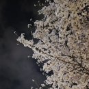 느티울근린공원 이미지