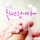 빛봄