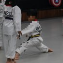 라이온태권도체육관 이미지