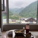 정선파크로쉬ㅣ60대 부모님과 호캉스ㅣ요가하고 수영하고,아리랑시장 가는 일상(feat.회동집)