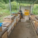 유밀농장 이미지