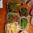 순겸농장 Daum카페