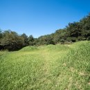 의령 죽전리 고분군 이미지