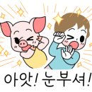 세종클린세차