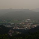 강화벤뎅이 이미지