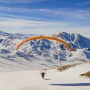 나무아이라이브홀 이미지