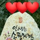 행복한샘물 이미지