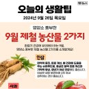 9월 26일 주요신문 헤드라인