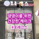 포레그스 이미지