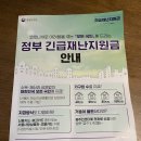 [일상] 긴급재난지원금 사용 : 농협 하나로마트(양재점) 💜