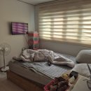 중앙동236 이미지