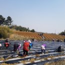 정우면사무소 이미지