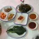 양지횟집식당