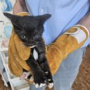 덕송민박 이미지