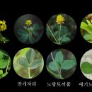 싸리목장 이미지