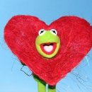 둥글둥글 이미지