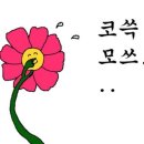 가고파플라워 이미지
