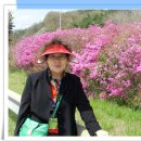 가야서당 이미지