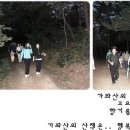 세종 유치원 이미지