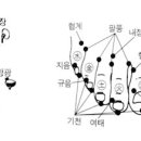 발과 건강 특집 4] 발가락을 만져서 만병을 다스린다. 이미지