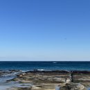 아야진해변 | 📍강원도 고성 오션뷰 카페아야진해변 바로 앞, 스위밍터틀 다녀온 솔직후기🌊