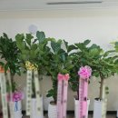 서울여성의원 | [서울은평] 비커밍여성의원 난임병원 방문 후기