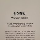 래빗스타