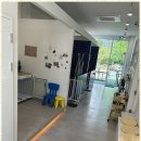 더 빛나개 이미지