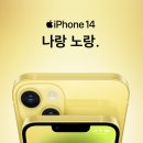 나랑노랑 이미지