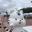 가리곡 | 2025 GMF(Grand Mint Festival) 그랜드민트페스티벌 그민페 후기