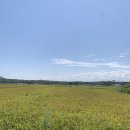 스테이쇼드 | 강원도 촌캉스 강릉 주문진 수영장 펜션 추천 스테이쇼드