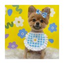 멍앤리치 이미지