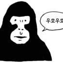 나베공방 네이버블로그