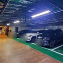 엑스와이엠 이미지