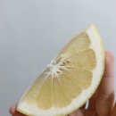 스위티 이미지