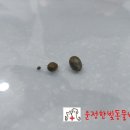 운정한빛동물병원 이미지