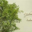 새들러하우스SADDLERHAUS