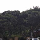 한지동경로당 이미지