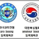 대한권투체육관 이미지