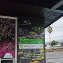 숨도 귤림성 | [제주 여행] 제주도 2월의 동백꽃 현황 / 제주 숨도,귤림성 후기